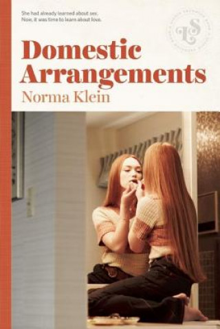 Kniha Domestic Arrangements Norma Klein