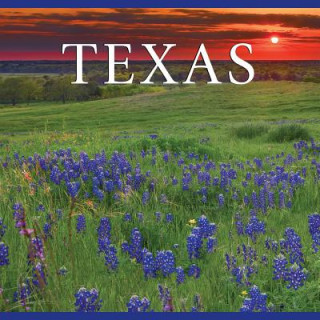 Book Texas Tanya Lloyd Kyi