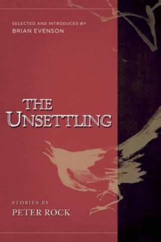 Carte The Unsettling: Stories Brian Evenson