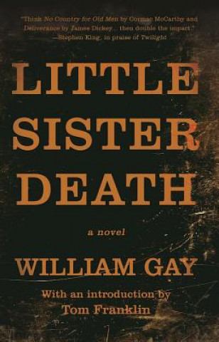 Książka Little Sister Death William Gay