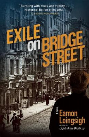 Kniha Exile on Bridge Street Eamon Loingsigh