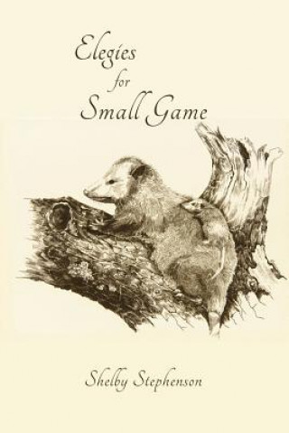 Kniha Elegies for Small Game Shelby Stephenson