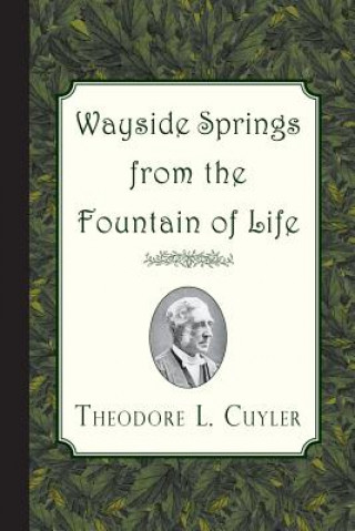 Książka Wayside Springs from the Fountain of Life Theodore L. Cuyler