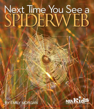 Książka Next Time You See a Spiderweb Emily Morgan