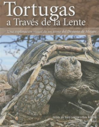 Kniha Tortugas a Traves de La Lente David Lamfrom