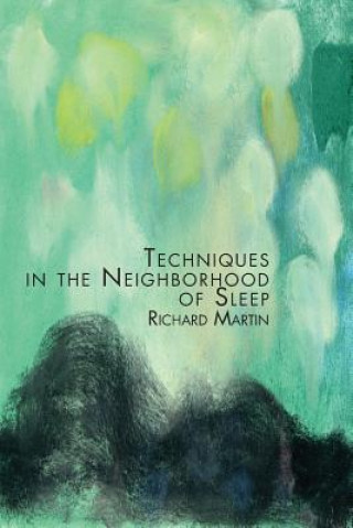 Kniha Techniques in the Neighborhood of Sleep Richard Martin
