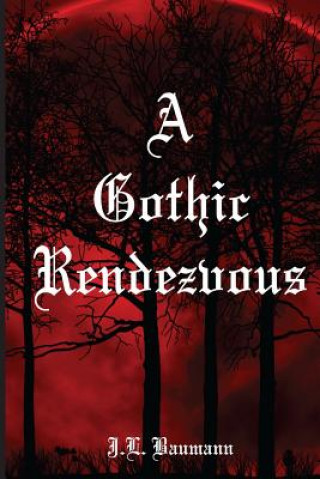 Boek A Gothic Rendezvous J. L. Baumann
