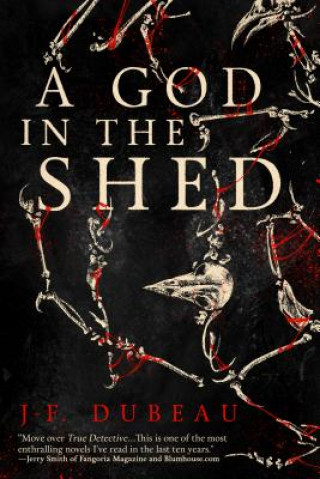 Book A God in the Shed J-F Dubeau