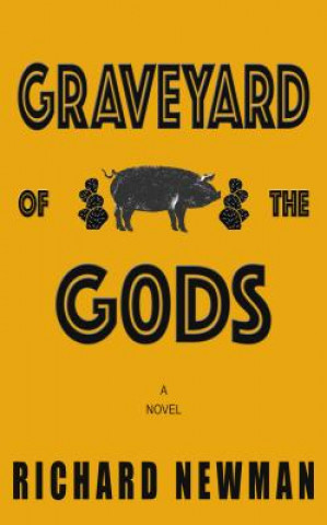 Kniha Graveyard of the Gods Richard Newman