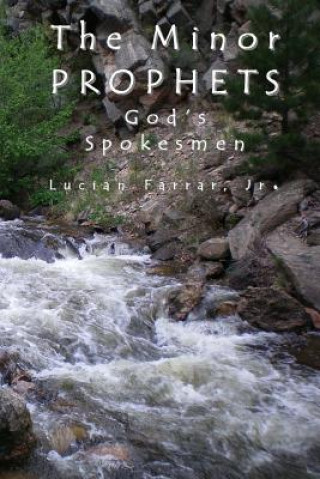 Kniha The Minor Prophets: God's Spokesmen Lucian Farrar Jr