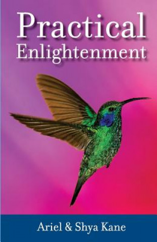 Livro Practical Enlightenment Ariel and Shya Kane