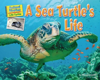 Book A Sea Turtle's Life Ellen Lawrence