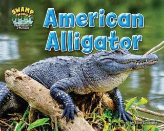 Könyv American Alligator Ellen Lawrence