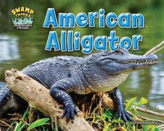 Buch American Alligator Ellen Lawrence