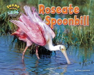 Kniha Roseate Spoonbill Ellen Lawrence