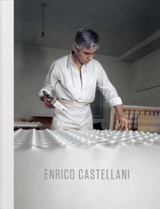 Kniha Enrico Castellani Angela Vettese