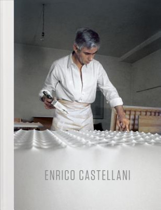 Книга Enrico Castellani Angela Vettese