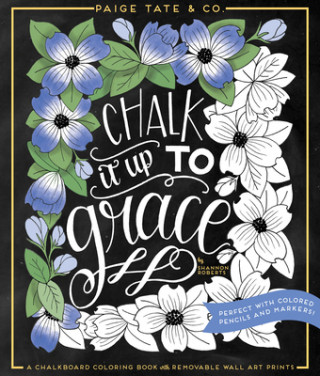 Kniha Chalk It Up To Grace Paige Tate Select