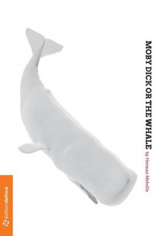 Carte Moby Dick Herman Meliville