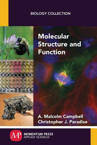 Książka Molecular Structure and Function A. Malcolm Campbell