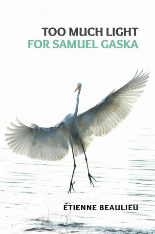 Kniha Too Much Light for Samuel Gaska Etienne Beaulieu