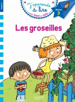 Könyv Les groseilles Emmanuelle Massonaud