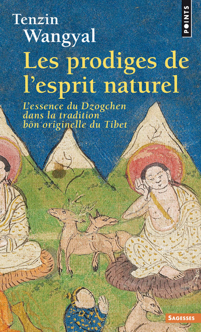 Könyv Prodiges de L'Esprit Naturel. L'Essence Du Dzogchen Dans La Tradition Bn Originelle Du Tibet(les) Tenzin Wangyal