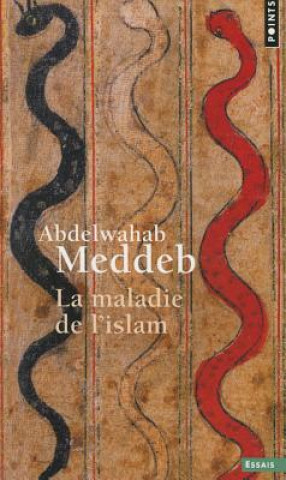 Carte Maladie de L'Islam(la) Abdelwahab Meddeb