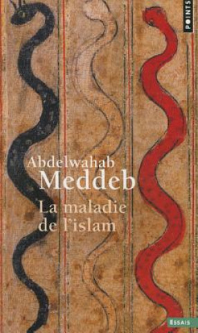 Książka Maladie de L'Islam(la) Abdelwahab Meddeb