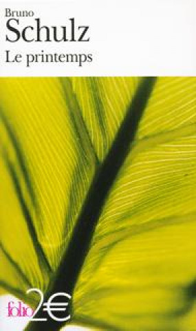 Buch Printemps Bruno Schulz