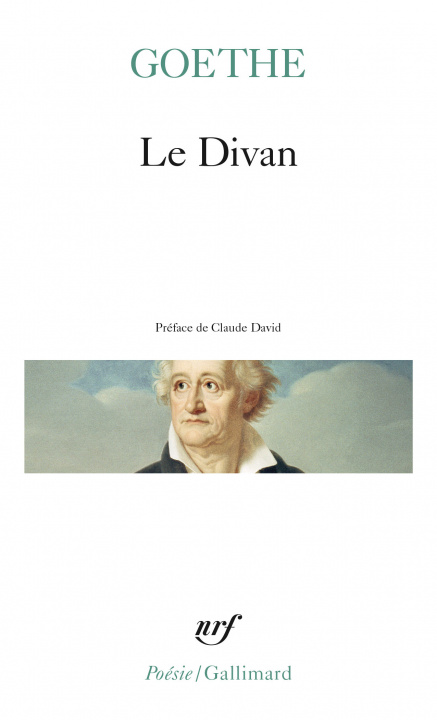 Книга Divan Goethe Johann Wolfgang von Goethe