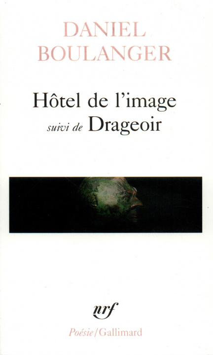 Kniha Hotel de L'Image Drage Danie Boulanger