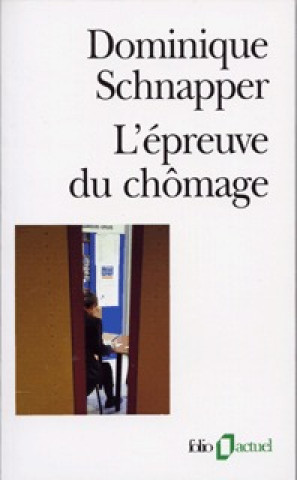 Kniha Epreuve Du Chomage Domin Schnapper