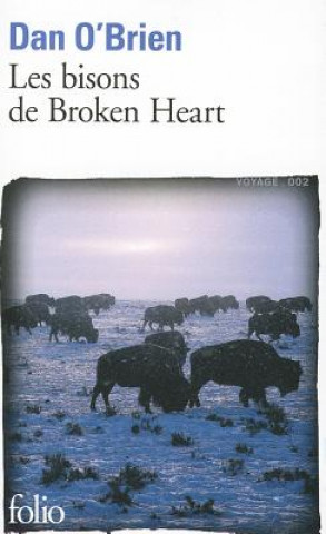 Könyv Bisons de Broken Heart Dan O'Brien