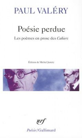 Kniha Poesie Perdue Paul Valéry