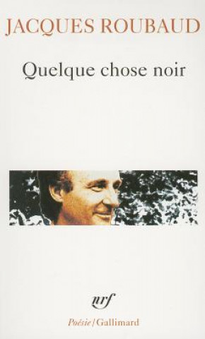 Könyv Quelque Chose Noir Jacques Roubaud