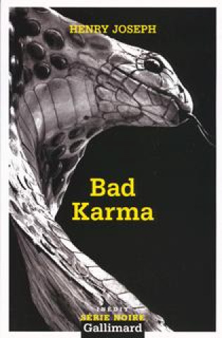 Buch Bad Karma Henry Joseph