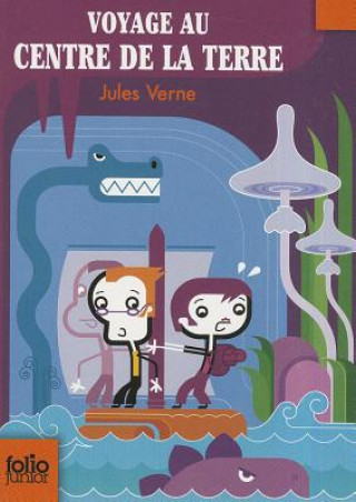 Kniha Voyage au centre de la terre Jules Verne