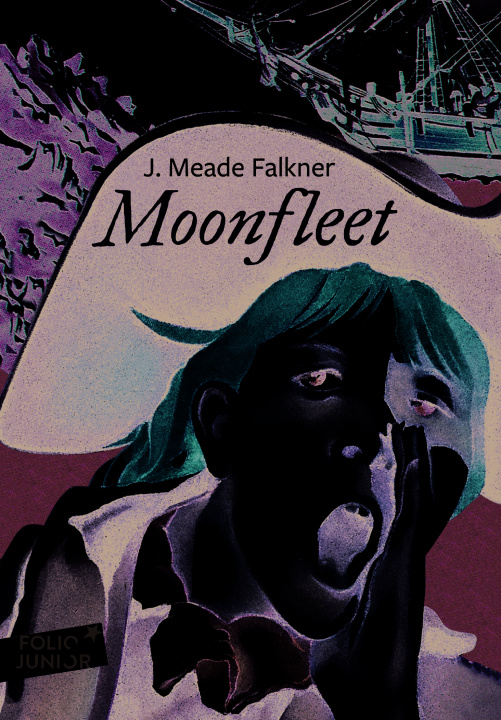 Buch Moonfleet J. Falkner