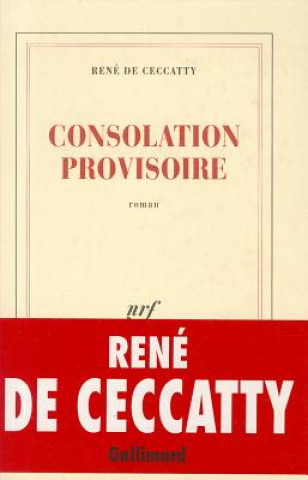 Boek Consolation Provisoire: Roman Rene De Ceccatty