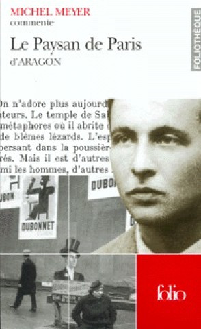 Książka Paysan de Paris D Ara Fo Th Michel Meyer