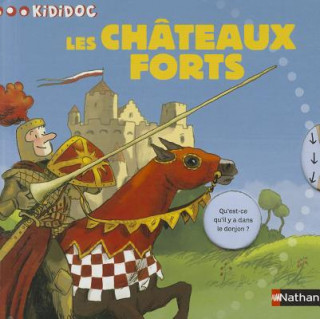 Carte Chateaux Forts Michele Longour