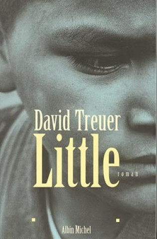 Kniha Little David Treuer