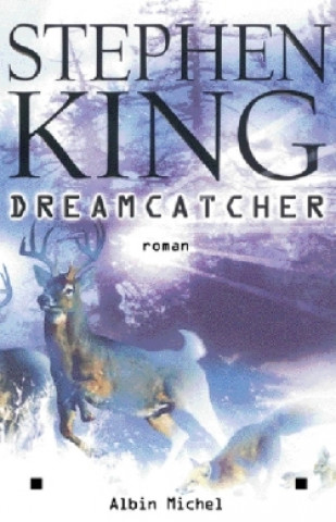 Kniha Dreamcatcher Stephen King