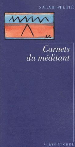 Kniha Carnets Du Meditant Salah Stetie