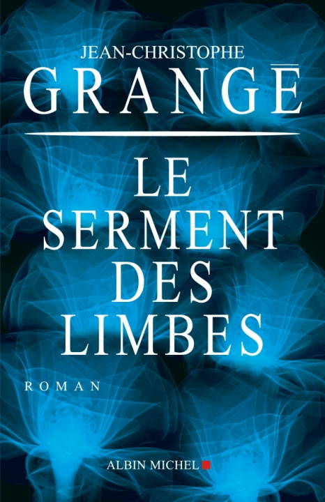 Kniha Serment Des Limbes (Le) Jean-Christophe Grange