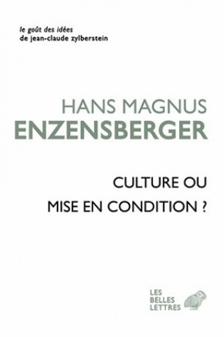 Carte Culture Ou Mise En Condition ? Hans Magnus Enzensberger