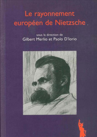 Livre Le Rayonnement Europeen de Nietzsche Gilbert Merlio