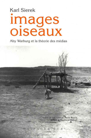 Kniha Images Oiseaux: Aby Warburg Et La Theorie Des Medias. Karl Sierek