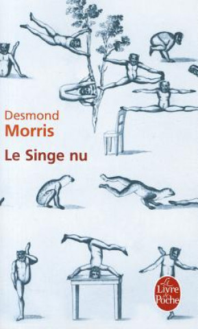 Carte Le Singe NU D. Morris